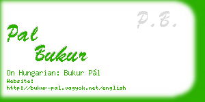 pal bukur business card