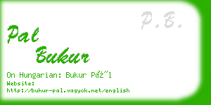 pal bukur business card